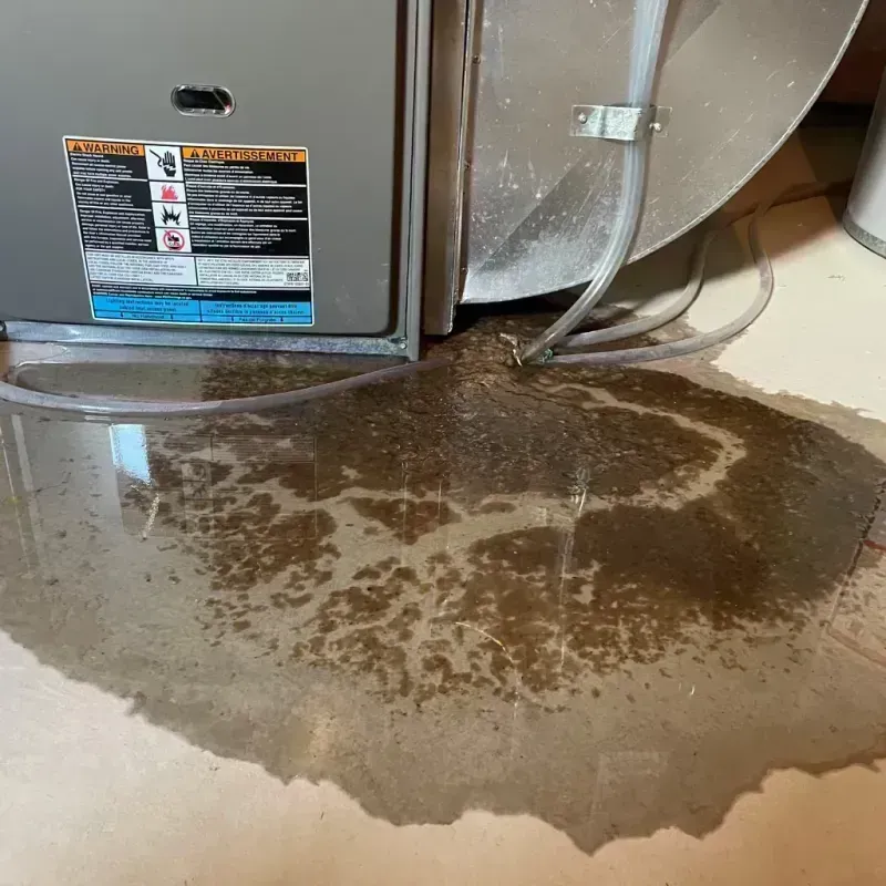 Appliance Leak Cleanup in Caro, MI